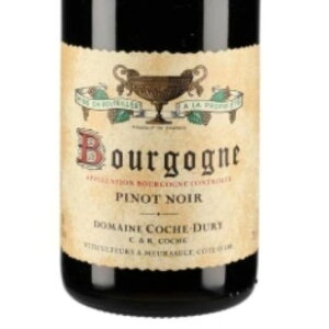 2009 �h���[�k�@ �R�V���E�f���� �u���S�[�j�� ���[�W���@�s�m�m���[���@Domaine Coche Dury Bourgogne�@Pinot Noir Rouge