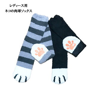 lR̓ӂӂ\bNX C fB[X 22-24cm