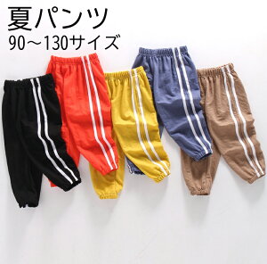 ăpc-B Y{ LbY q@j̎q ̎qsu