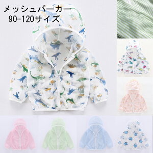 bVp[J[ 悯p[J[ bVp[J[ UV΍ LbY q xr[ Ԃ @RE