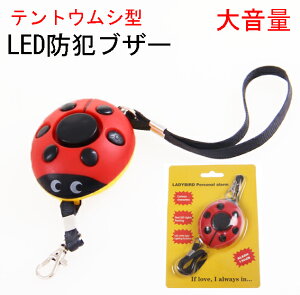 LEDCg ĂƂނ^ hƃuU[ egEVhƃA[ hƃx