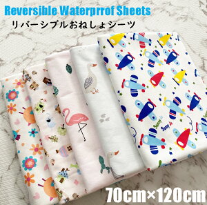 o[Vu˂V[c xr[LbYp h˂V[c(EH[^[v[tjIlVV[c xr[xbh xr[zc Qzc j̎q̎q