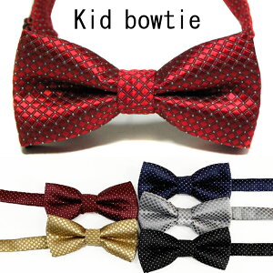 SparklelN^C LbYWjAxr[