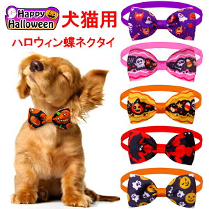 LpnEBlN^C ybgpRX`[ ybgRXv