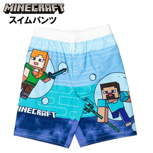 MINECRAFT �}�C���N���t�g �X�C���p���c �T�[�t�p���c �L�b�Y ���� �q�� �L�b�Y