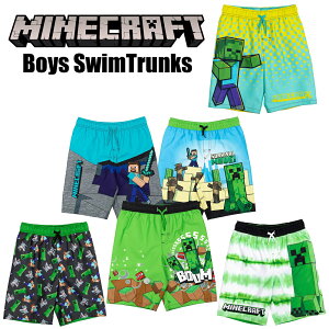 6�f�U�C������I�ׂ� MINECRAFT �}�C���N���t�g �X�C���p���c �T�[�t�p���c �L�b�Y ���� �q�� �L�b�Y