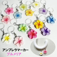 アンブレラチャーム プルメリア アンブレラマーカー お花 フラワー シリコンリング マルカン付 カニカン…