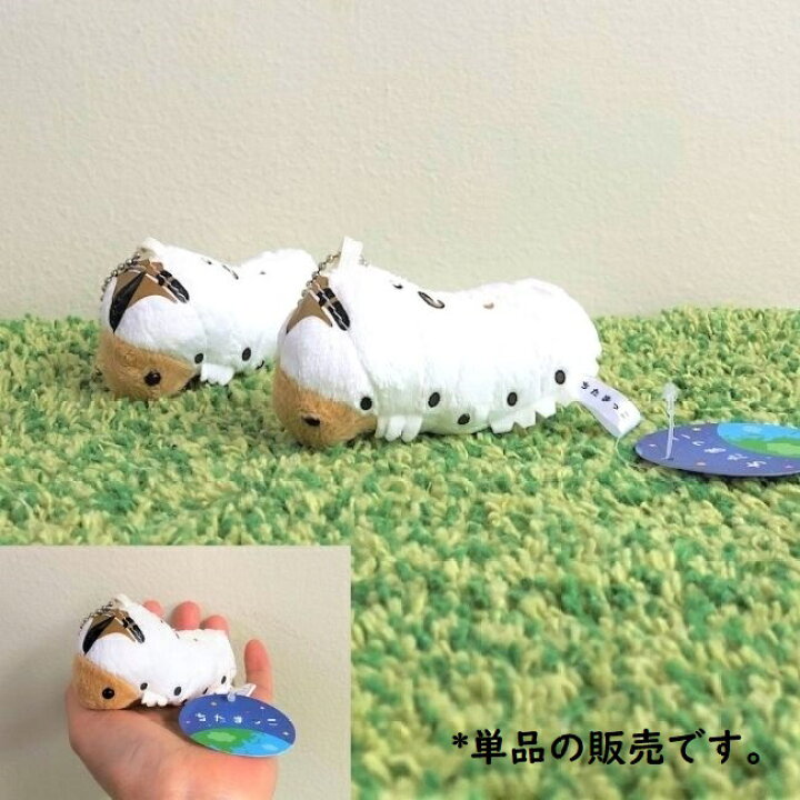 楽天市場 ぬいぐるみ かいこちたまっこ カイコ グッズ キーホルダー約10ｃｍ 昆虫 蚕誕生日 ギフト プレゼント クリスマス おもしろい かわいい レディース 子供 こども 大人 動物園 送料無料 定形外郵便 ラッピング無料 ぬいぐるみのオレンジネットワン
