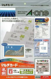エスコ (ESCO) EA759XE-173 名刺・カード用 マルチプリント用紙(厚口/10枚) EA759XE-173