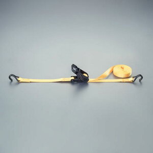 GXR (ESCO) EA982B-24 25mmx5.0m/ 330kg xgג@(`Fbg/ EA982B-24 y3Zbgz