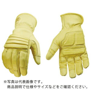 YOUNGST v ibNoX^[ A`oCu L ( 11-3210-10-L ) YOUNGSTOWN