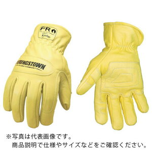 YOUNGST v FROEhO[u Pu[(R) L ( 12-3365-60-L ) YOUNGSTOWN