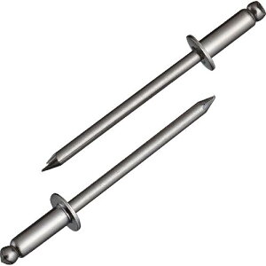 ySALEizGr uChxbg(XeX/XeX) 4-4(1000{)  ( NST44 ) ()uebNX