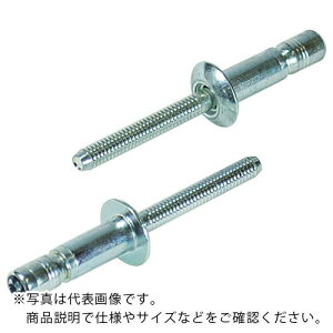 Gr xuChxbg S{g(ۓ) 4.8/11.0mm (500{) ( SNS48110 ) ()uebNX