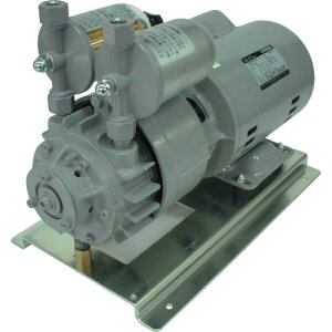 �~�c�~ ( �O�ÊC���쏊 ) ���S�����������[�^�[�|���v �P��100V ( MSV-100-1 )