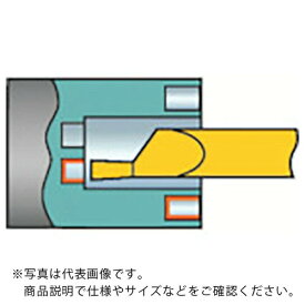 【SALE価格】サンドビック　コロターンXS　超硬ブランク（325）　1025 CXS-06F300-6215AR 1025 (325) ( CXS06F3006215AR ) サンドビック（株）コロマントカンパ