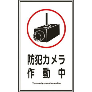 Ώ\ CXgXebJ[W hƃJ쓮 \123 200×120mm 10g ( 047123 ) (){Ώ\
