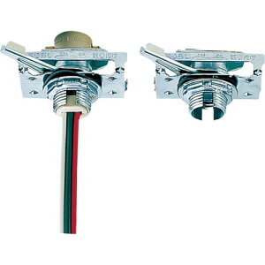 Panasonic vO uvO i:2P6A300VEEt ( DH2471 ) pi\jbN()GNgbN[NX