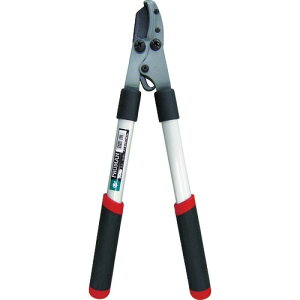 PRUMAN ( �܏\���n���H�� ) ���N����~�j���}���� ( OM-300 )