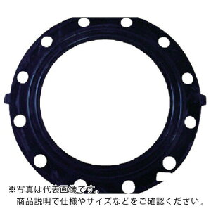 �G�X���� ( �ϐ����w�H�� ) �p�b�L�� EPDM JIS5K 250A ( PE2F5C )
