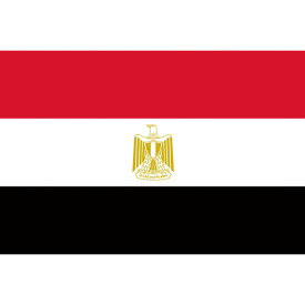東京製旗　国旗No．2（90×135cm）　エジプト・アラブ ( 426163 ) 東京製旗（株）
