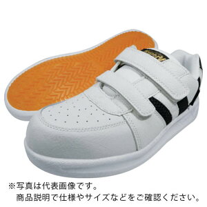 ySALEizi XpC_[}bNX#6000 25.5cm ( V6000W-25.5 ) iS()