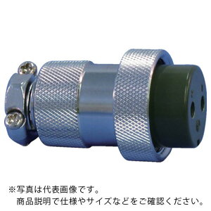 ���� ( �����Ȋw������ ) ���^���R�l�N�^ NCS-25�V���[�Y 6�� P ( NCS-256-P )