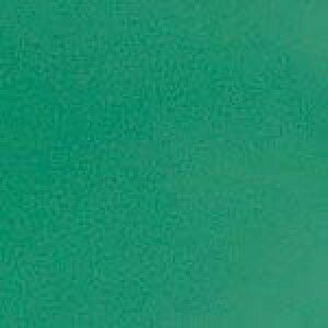 Rh یV[g j[rj[V[g  910mm×20m  ( F-169-H-G ) RY()