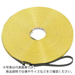 ^W} V pe[v 13mm100m ( YSM-100R ) ijTJMfUC