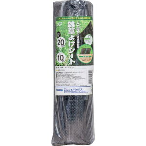 Dio lHŗpG悯V[g0.2m×10m ( 253529 ) ()CmxbNX rO