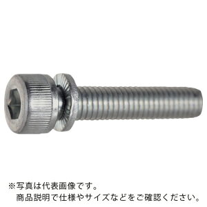 TRUSCO 【売切廃番】ゆるみ止め機能付六角穴付ボルト 三価クロメート M10X30L 1本 /キャップボルト(CAP) ( WVL-1030TC ) トラスコ中山(株)