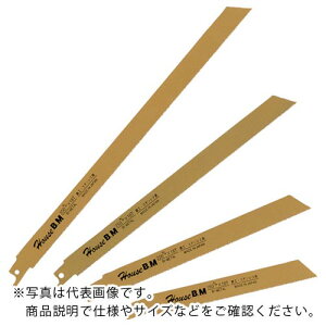 �n�E�XB�DM ( �n�E�X�r�[�G�� ) �o�C���^���Z�[�o�[�\�[�u���[�h 10������ 160×18 ( BS-1618 )