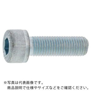 SUNCO jN CAP(Zpt{g)(זP1.25 10×45 (8{) ( A0-00-0004-0100-0450-01-8 ) TR[C_Xg[() y[J[z