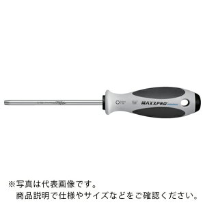 Witte XeXhCo[ T25×100 ( 73209 ) KIRCHHOFF Witte