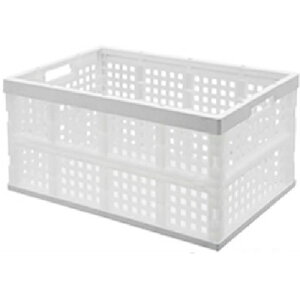 ySALEizIRIS 202663 肽݃Rei OC-28L i` ( OC-28L-N (202663) ) ACXI[}()