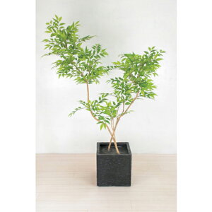 O[NX lH/lHϗtA tXxW~ ( 6300033761 ) ()O[NX y[J[z