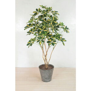 O[NX lH/lHϗtA VFt ( 6300033759 ) ()O[NX y[J[z