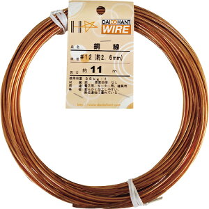 ySALEizDAIDOHANT  #12x11m  ( 10155329 ) ()_Ch[ng