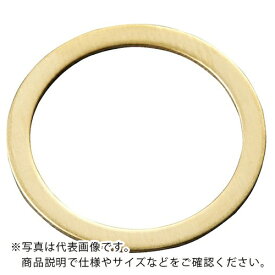 IWATA シムリングCUZN (10枚入)T0.2 ( RB007010020 ) (株)岩田製作所 【メーカー取寄】