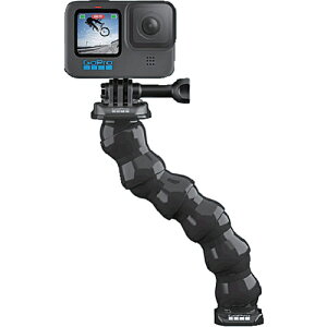 ySALEizGoPro O[XlbN ( ACMFN-001 ) ()^W}[^[R[|[V