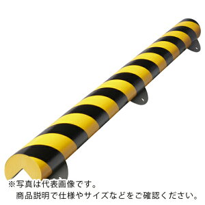 �ySALE���i�zIWATA ( ��c���쏊 ) �o���p�[�v�� BP26 (1m) ( BP26-L1 )