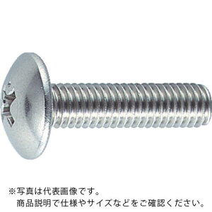 TRUSCO トラス頭小ねじ ステンレス 全ネジ M6×10 41本入 ( B52-0610 ) トラスコ中山(株)