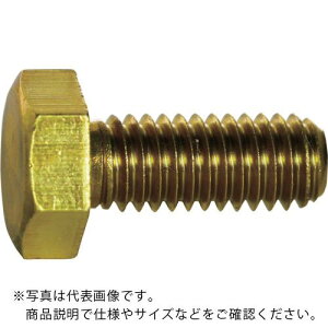 TRUSCO Zp{g  SlW M8×12 6{ ( Y501-0812 ) gXRR()