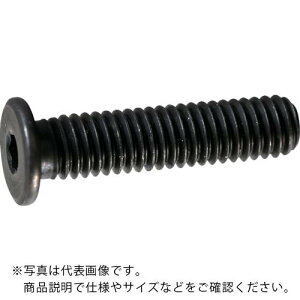 TRUSCO ᓪLbv{g X`[ M3×6 9{ /Zpt{g(CAP) ( Y153-0306 ) gXRR()