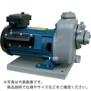 TERADA |v Zv|v SOO`d@t 50Hz O200 Sg17m ( MPT2-0041TR 50HZ ) ()c|v쏊 y[J[z