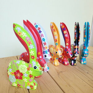 @ԕ@TCY@rbg@ؐ@AWACeA@ETM̒u@GXjbNG݁@o