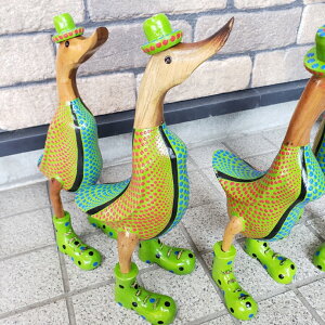 10000835@Aq@CG[O[@hbg@oG݁@ؒ@Aq̒u@_bN@u@AWA@CeA@ؐAq