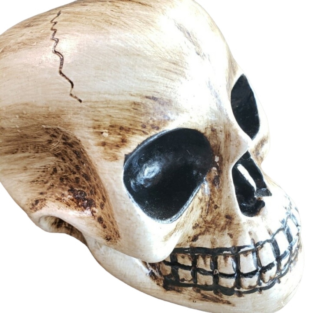 楽天市場】10002456 ドクロ 木製 骸骨の置物 スカル 骸骨 バリ木彫り