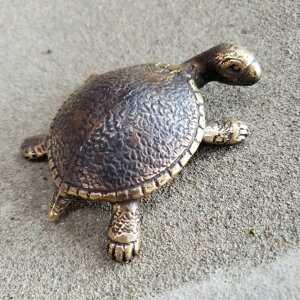 J@T@zk@uY@@oG݁@߂̒u@CeA@AWAG݁@GXjbN