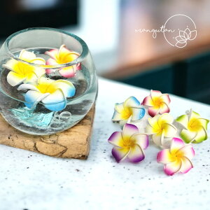 vA @tWpj @J[4@ԁ@ 썑 @][g@ oG @AWAG @nCA